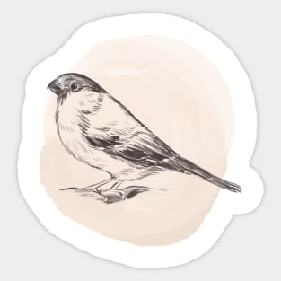 Hand drawn illustration of bullfinch Sticker